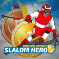 Slalom Hero